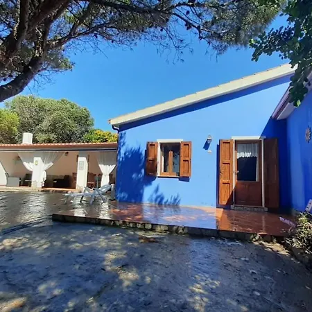 Casa Viola