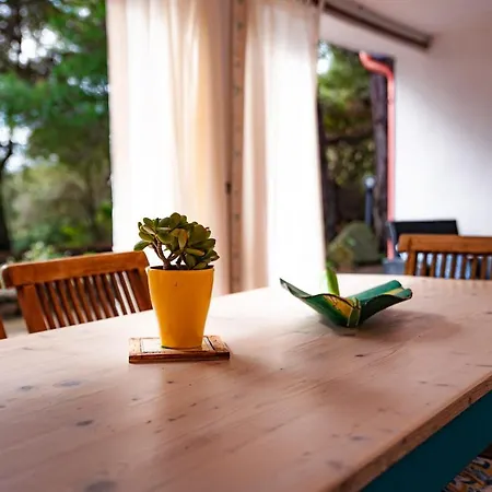 Casa Viola Holiday home